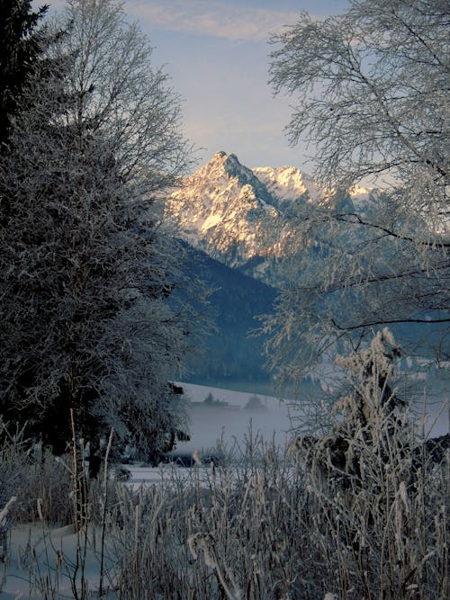 Imagine de stoc gratuită din congelare, frig, fundal de munte