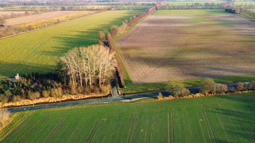 Бесплатное стоковое фото с Аэрофотосъемка, голые деревья, дорога