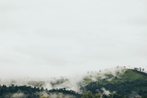 Free Aerial view of fog-covered hills and lush greenery in Brazil, creating a serene landscape. Stock Photo