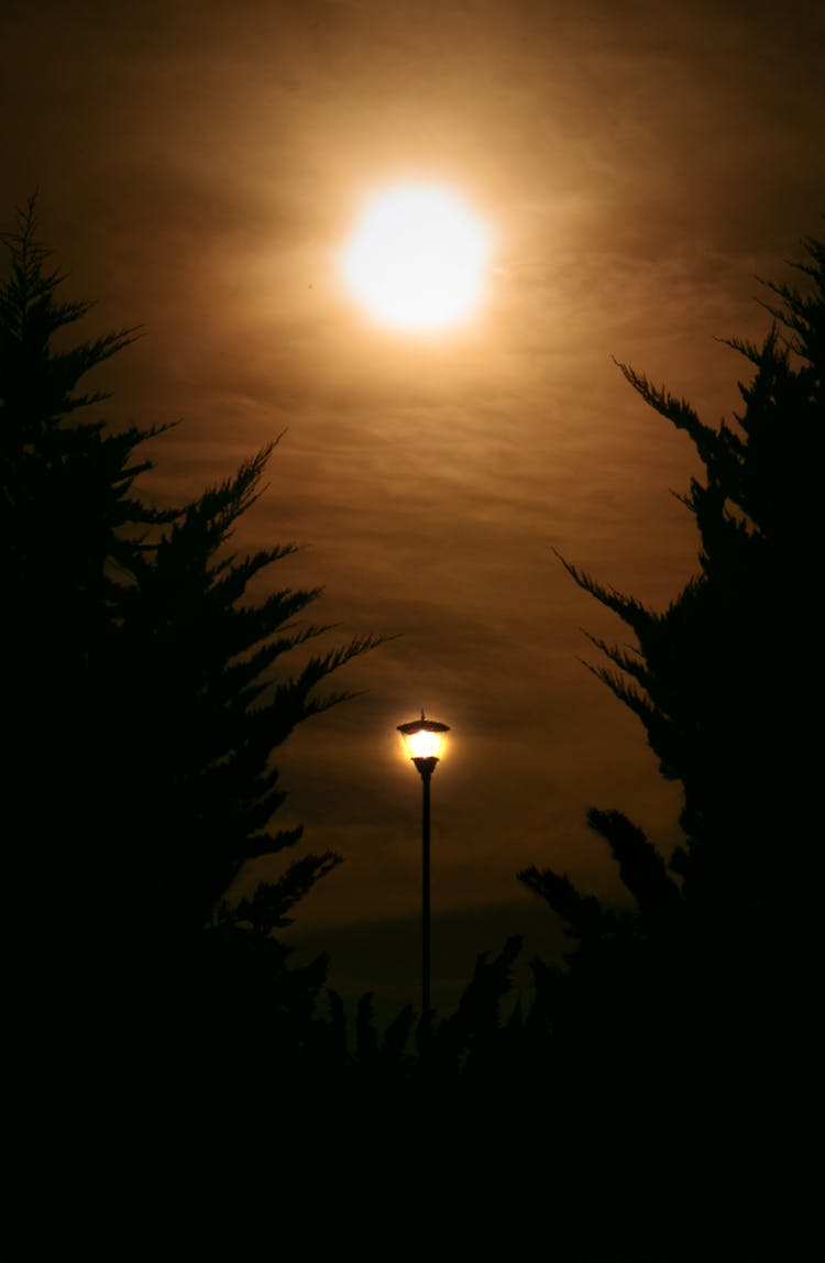 Golden Sun Over A Lighted Lamp Post 