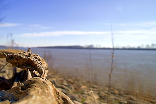 Kostenloses Stock Foto zu fluss, ohio river