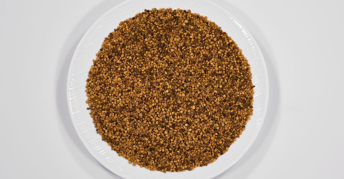 Vue de dessus de grains biologiques sur une assiette blanche mettant en avant une option alimentaire saine.