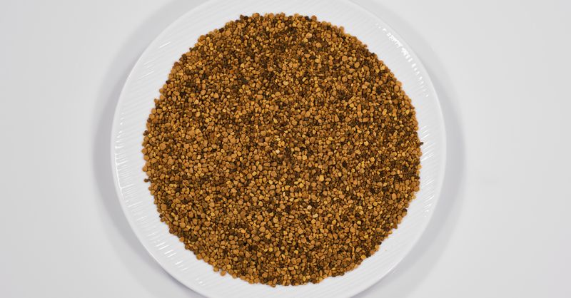 Gomme de propolis : comment bien la choisir et l’utiliser ?