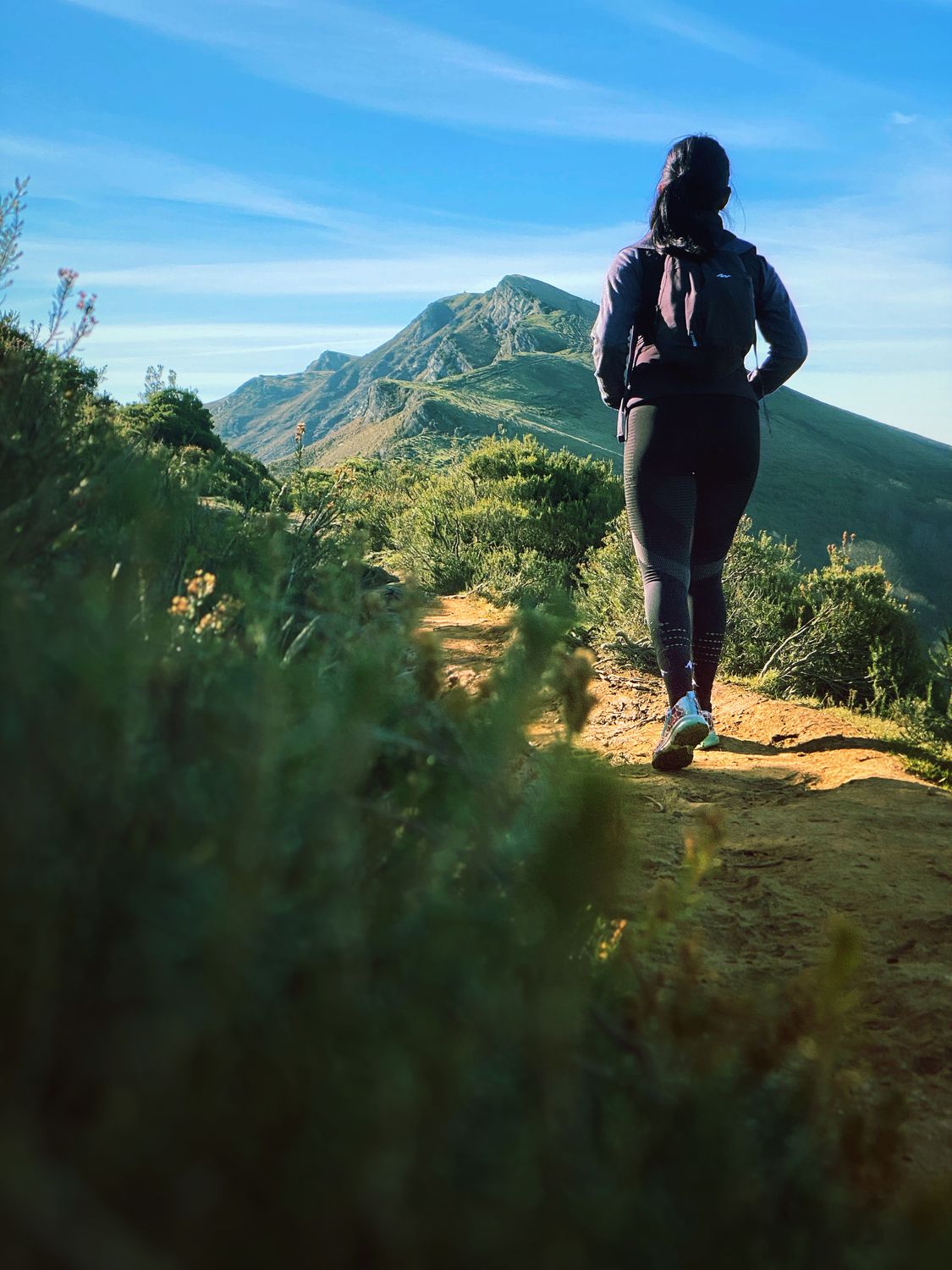 Woman hiking on a scenic mountain trail surrounded by lush green vegetation under clear sky