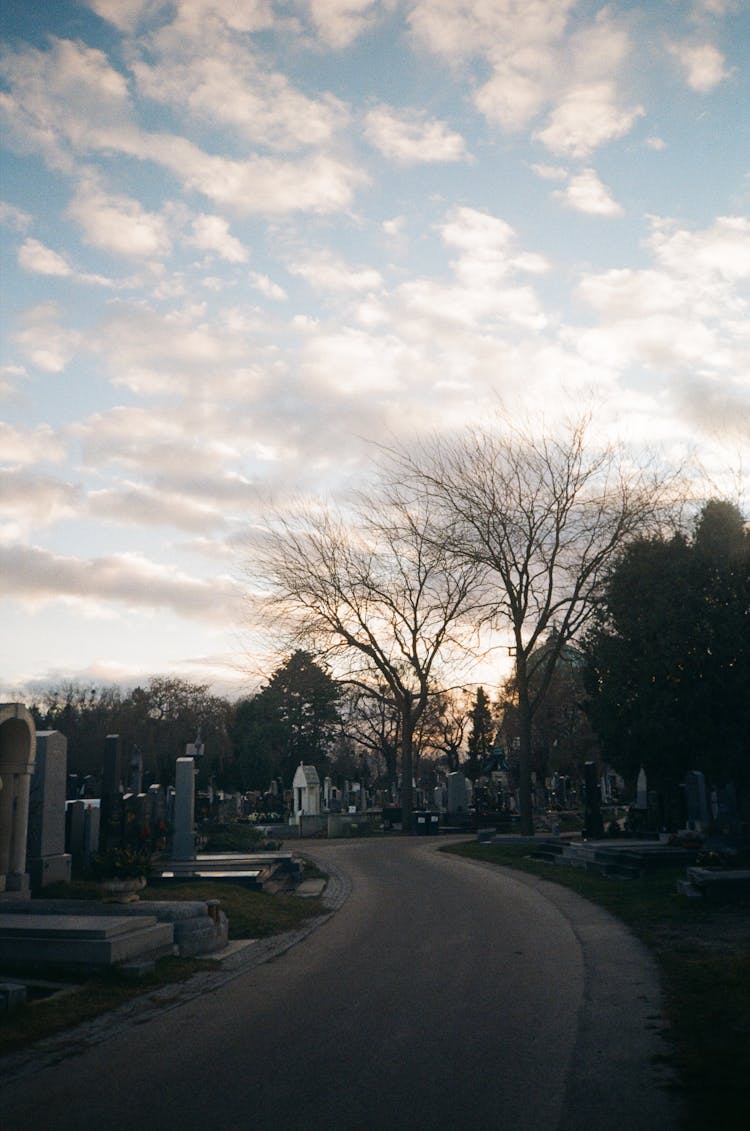 A Road In A Cemetery