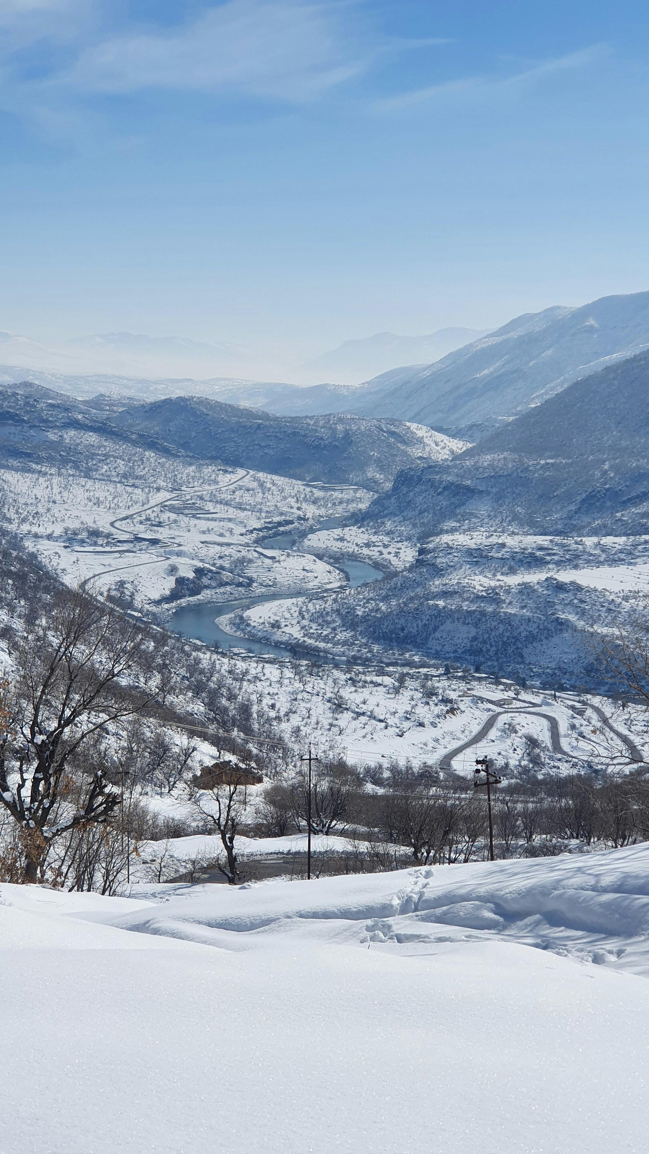 Gratis Immagine gratuita di alberi spogli, aria frizzante, avventura Foto a disposizione
