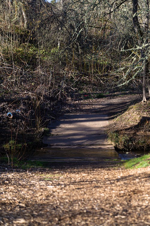 Small Wooden Bridge Above a Creek Towards a Pathway