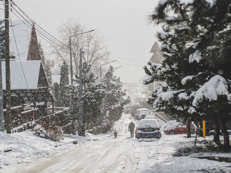 A Snow Covered Road