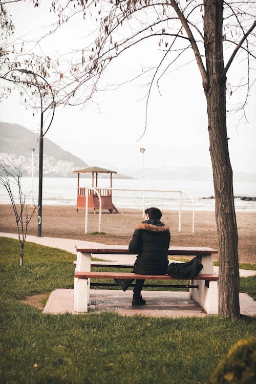 Free Man Sitting on a Bench Beside a Bare Tree Stock Photo