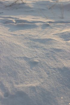 Soft snow blankets the ground capturing the tranquil essence of winter.