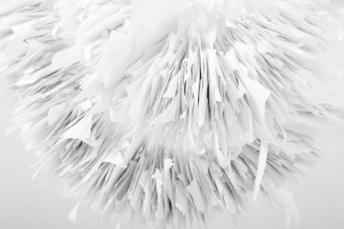 Free Kostenloses Stock Foto zu 2022, beauty, hintergrund Stock Photo