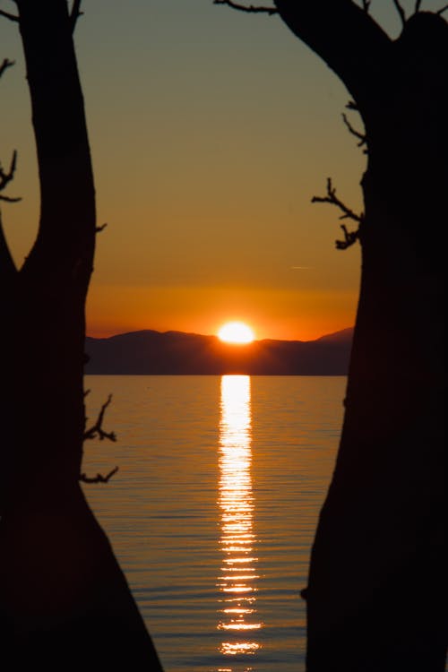 A View of the Ocean during the Golden Hour