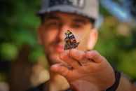 一只蝴蝶停在户外一个男人的手上，特写镜头展现了大自然的美丽