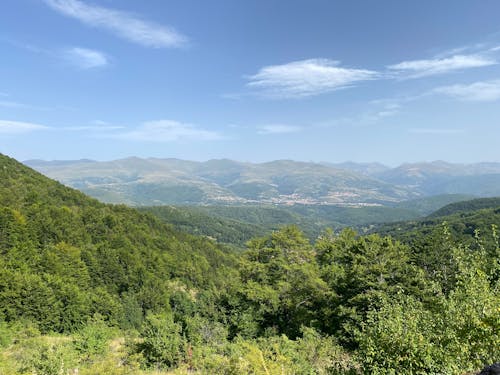 Mountain With Green Trees Under Blue Sky