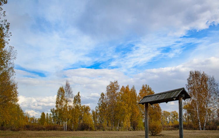 Park In Autumn Colours And Rural Gate