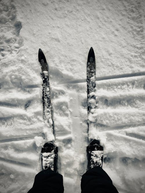 Photos gratuites de amusement, blanc et noir, enneigé