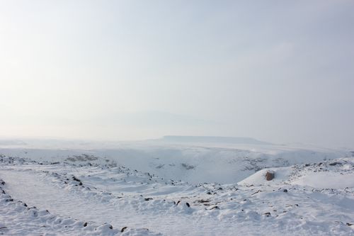 Free A serene snow-covered landscape under a foggy sky, capturing the essence of winter. Stock Photo