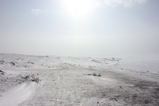 Serene snow-covered field under bright sunlight in winter, Türkiye.