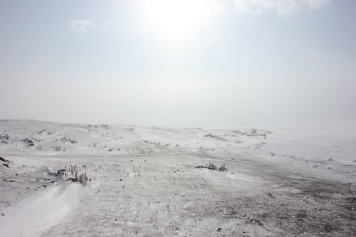 Free Serene snow-covered field under bright sunlight in winter, Türkiye. Stock Photo