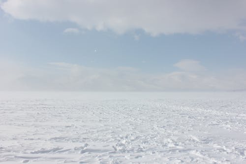 Fotos de stock gratuitas de congelado, frío, invierno