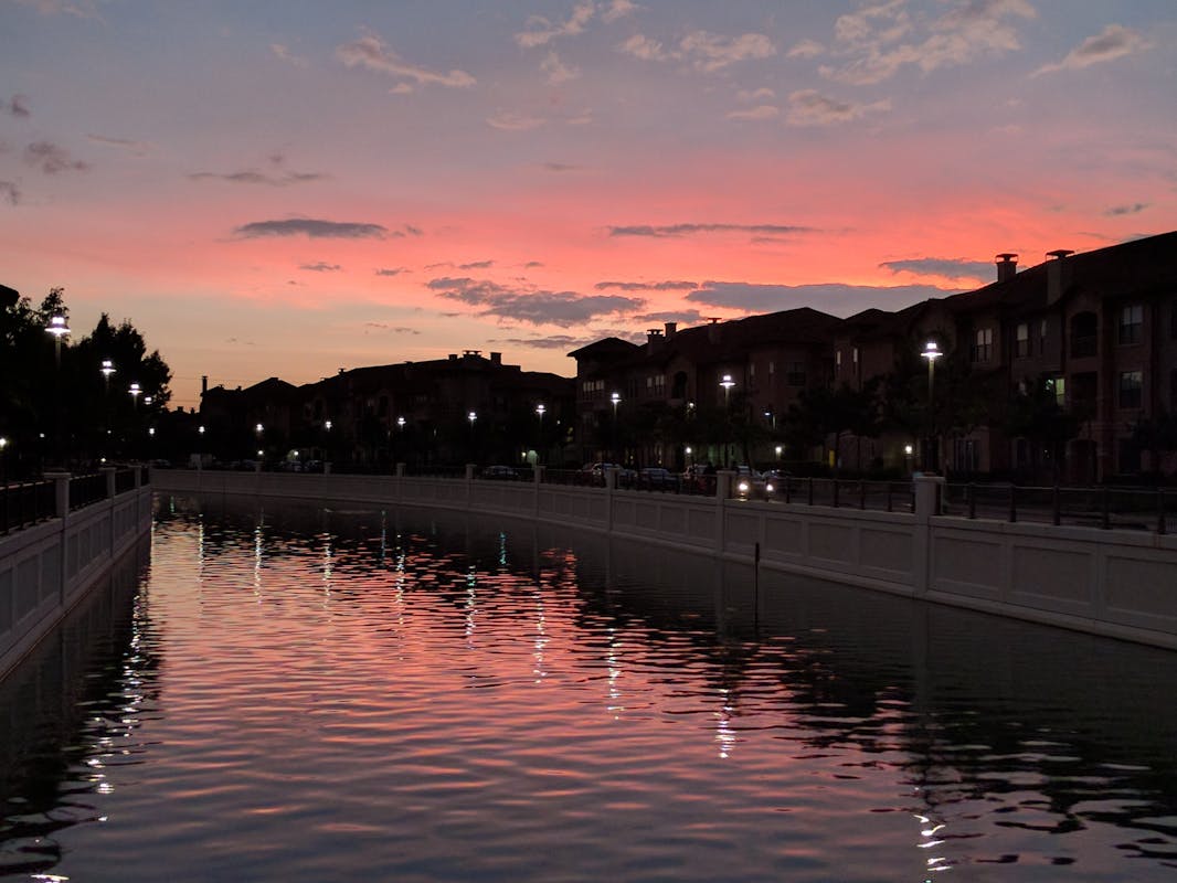 竹筍是超級食物還是飲食陷阱?2026年營養科學深度剖析 竹筍是超級食物還是飲食陷阱?2026年營養科學深度剖析