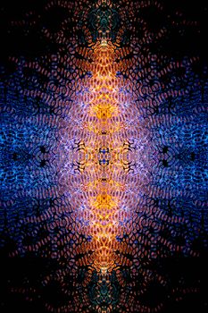 Lebendiges Abstrakt – Dunkles AMOLED Wallpaper