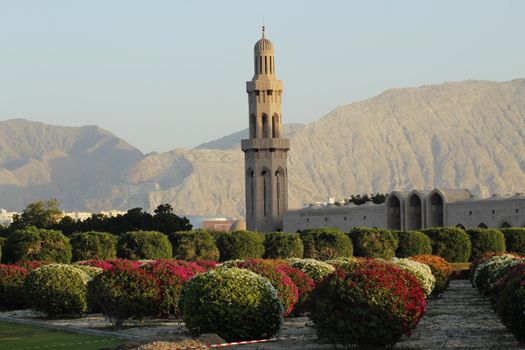 Muscat, Oman photo 16