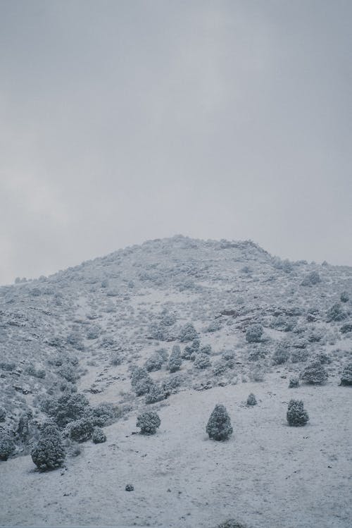 Snow on Hill in Winter