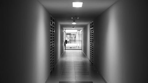 Free stock photo of coriander, hallway, mystery