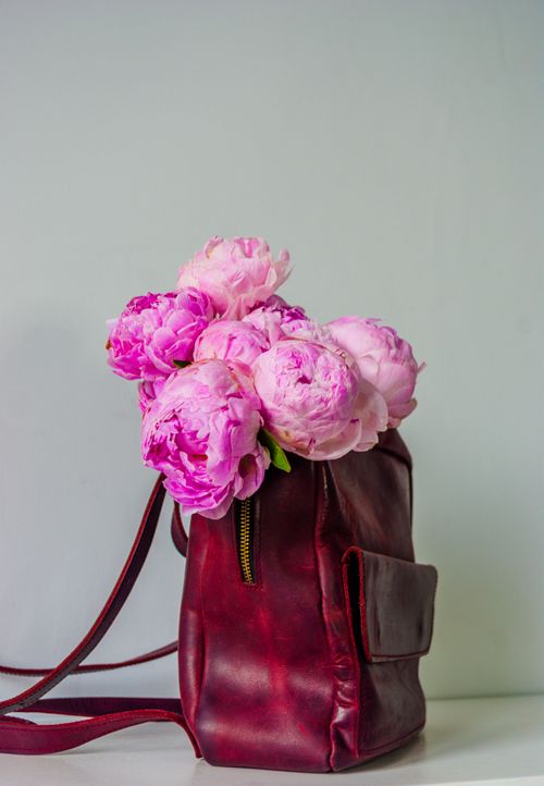 Free Vibrant pink peonies elegantly arranged in a stylish red leather backpack. Stock Photo