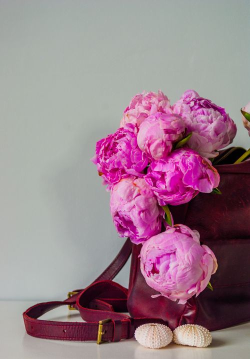 Free Pink peonies in a leather bag with shells create a charming still life. Stock Photo