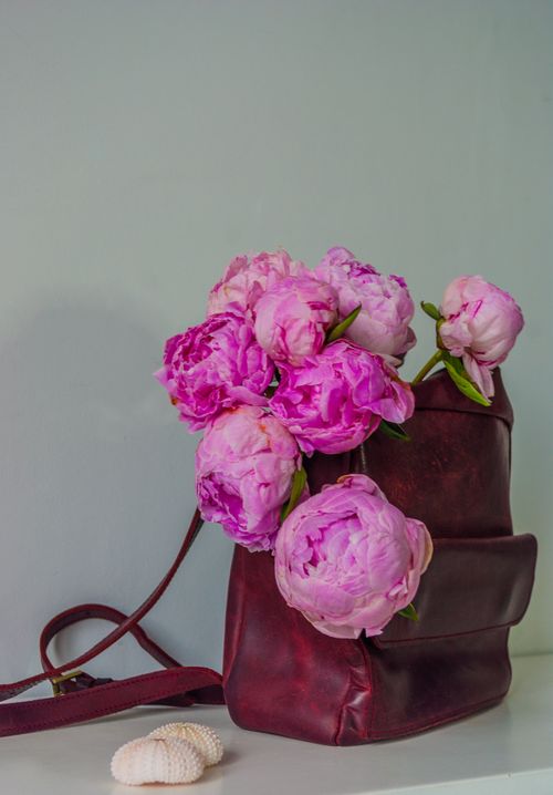 Free Pink peonies artistically arranged in a vintage leather backpack on a shelf with seashells. Stock Photo