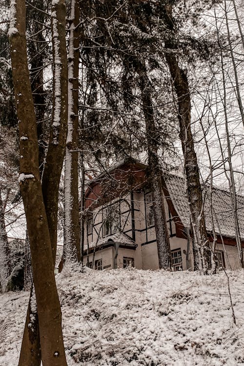 冬季, 垂直拍摄, 房子 的 免费素材图片
