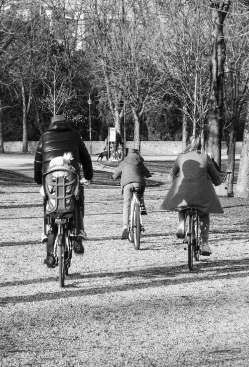 Free A family riding bicycles together in a scenic park captured in black and white. Stock Photo