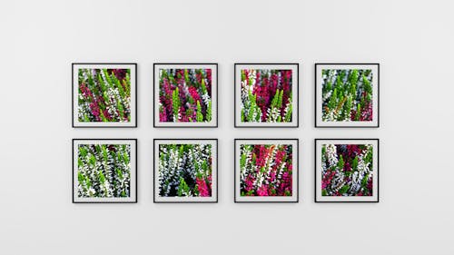 Eight Photo Frame of Flowers