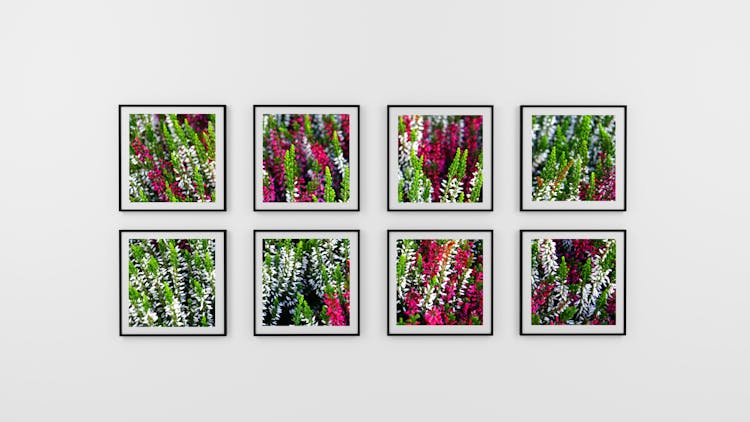 Eight Photo Frame Of Flowers