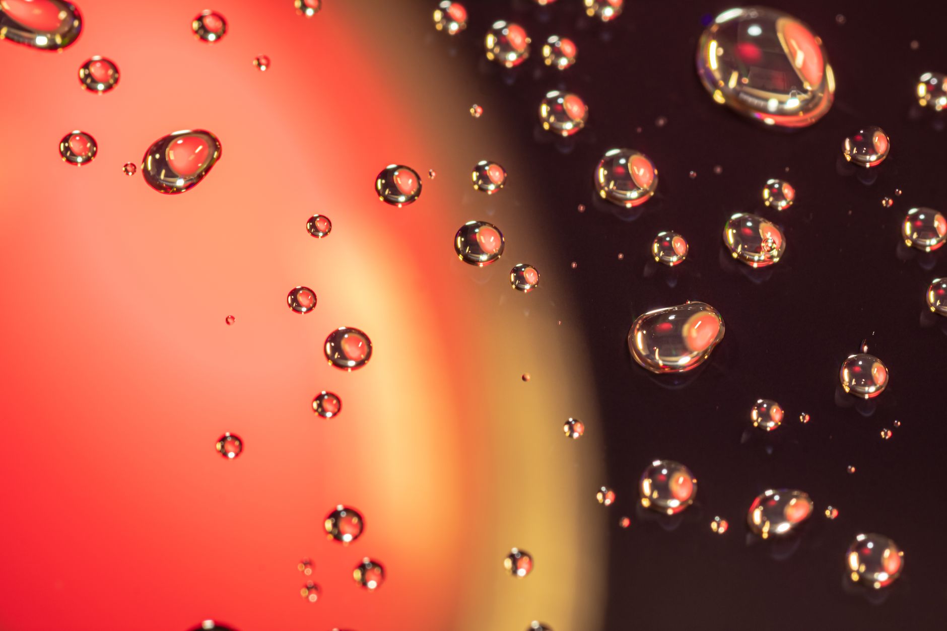 Macro shot of water droplets on glass with vibrant red and black background.. macro, shot, water