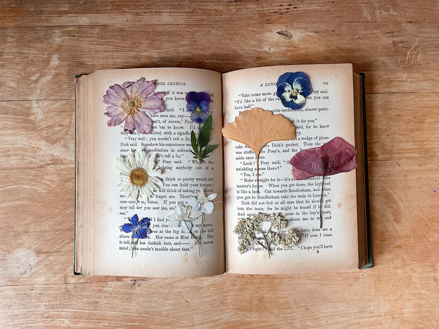 An open book with pressed flowers on a wooden table, showcasing a nostalgic aesthetic.