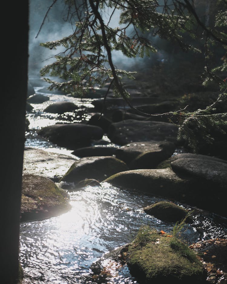 Rocks On River