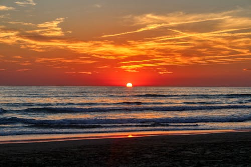 地平線, 太陽, 岸邊 的 免费素材图片