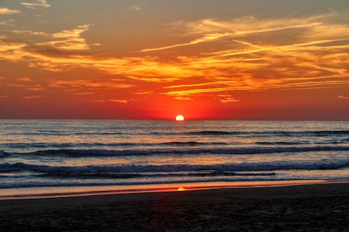 Fotos de stock gratuitas de amanecer, anochecer, cielo naranja