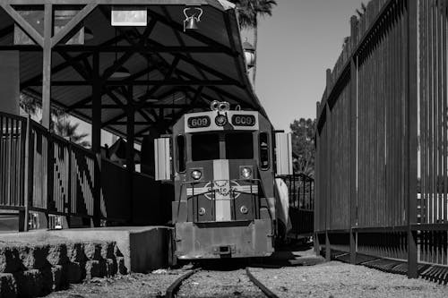 Fotos de stock gratuitas de blanco y negro, entrenar, escala de grises