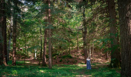 Бесплатное стоковое фото с грязная земля, деревья, длинное платье