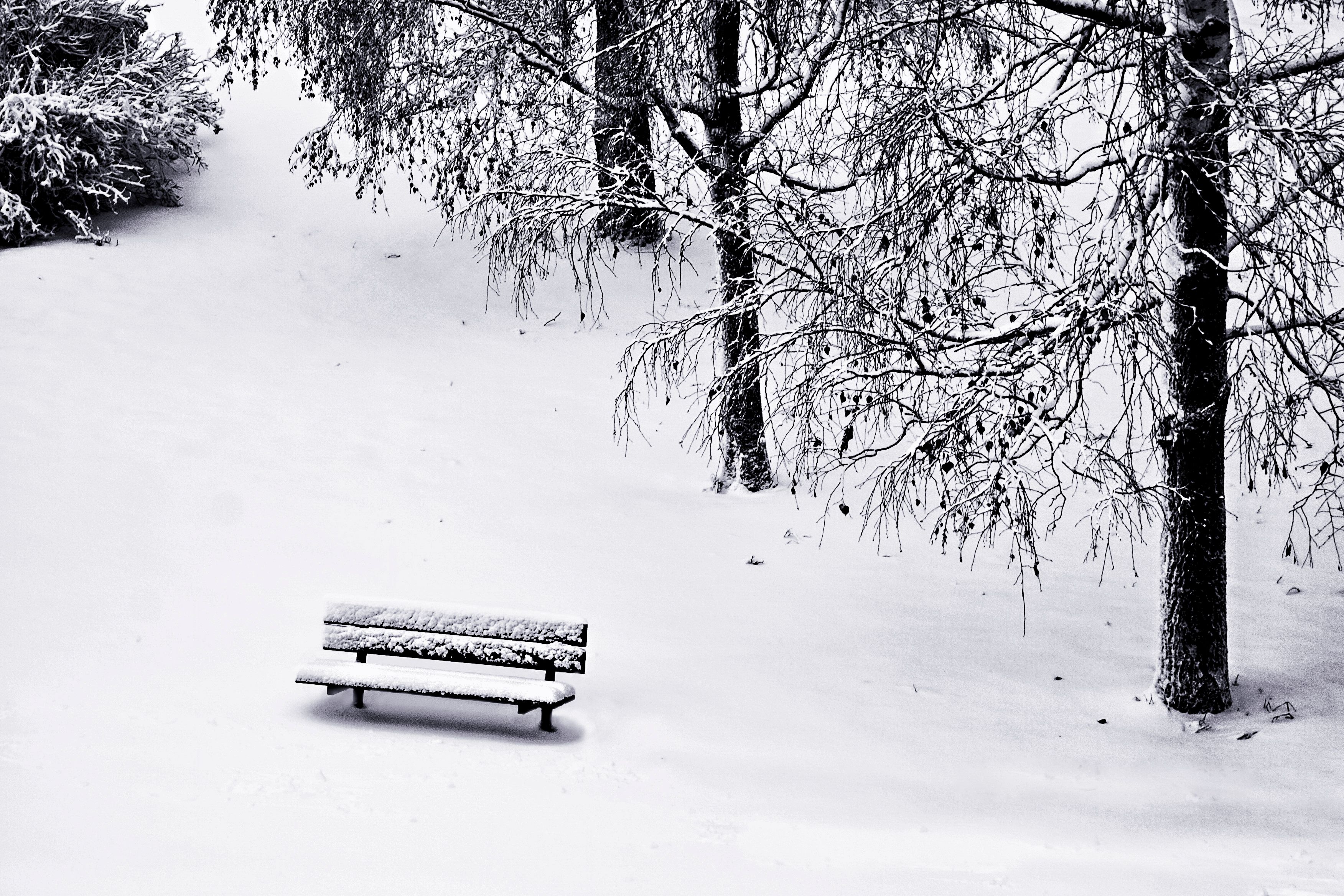 Wooden Bench on Snow Covered Ground · Free Stock Photo
