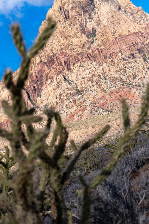 Free stock photo of beautiful nature, desert, mountain