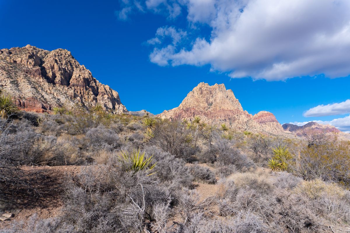 Scenic Drive (13-Mile Loop)
