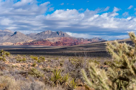 The red sandstone cliffs of Red Rock Canyon near Las Vegas