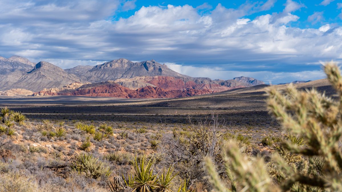 Henderson, NV Gift Card Giveaways Near Me: Where to Find Legit Deals