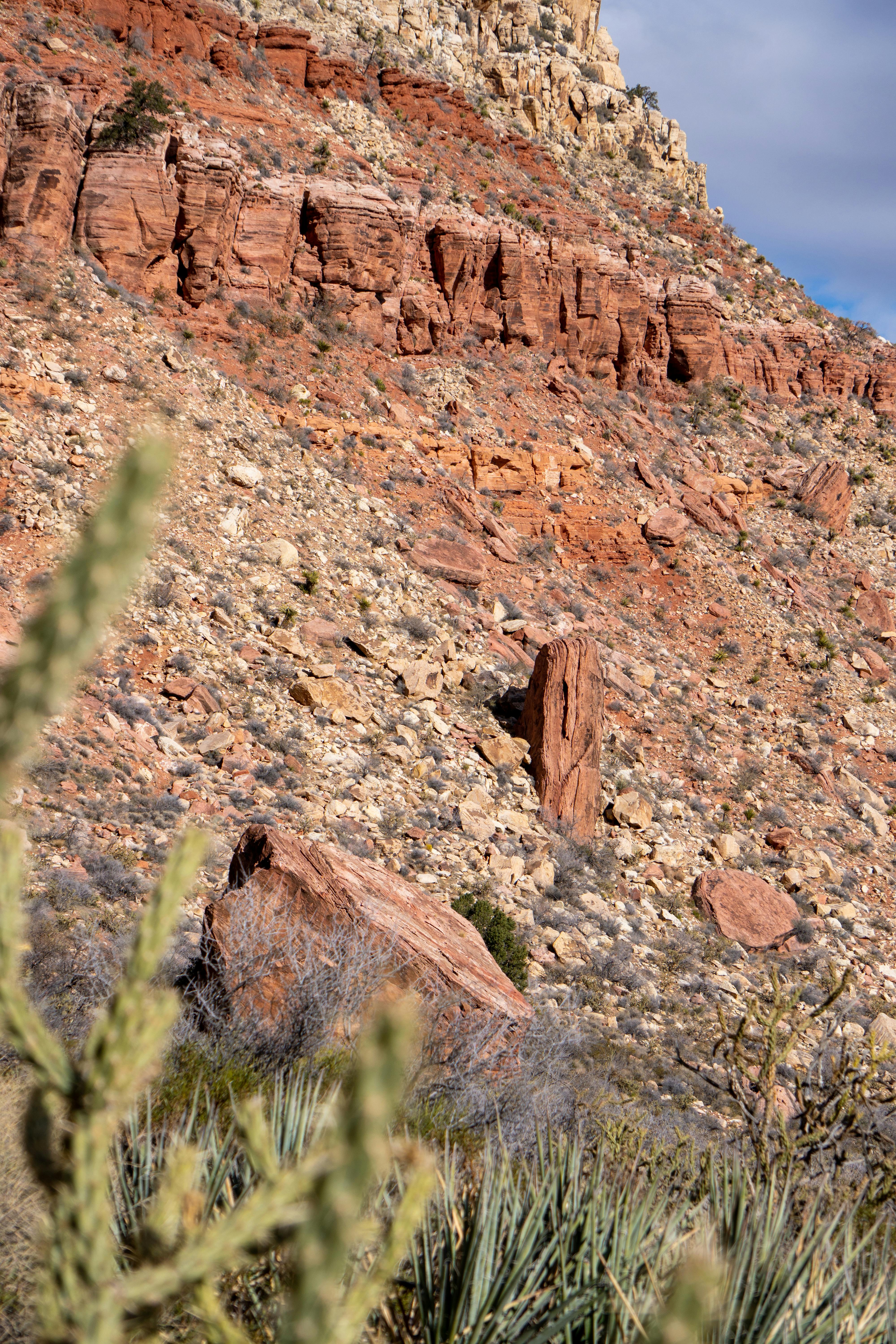 Explore the striking red rock formations and arid landscape of Nevada's Red Rock Canyon.