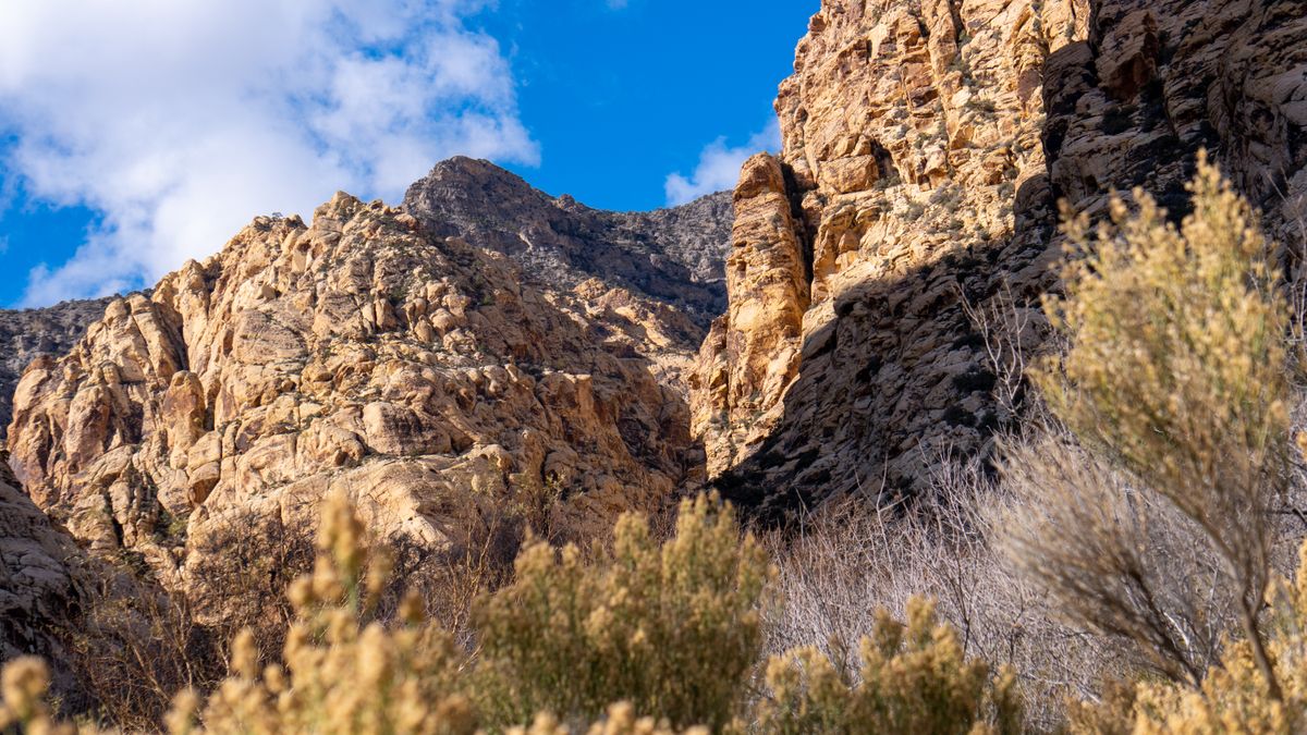 Henderson, NV Tech Giveaways Near Me: Where to Find Legit Deals